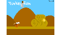 play Turkey