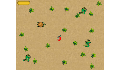 play Trick the turtle