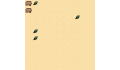 play Project 0-wombats
