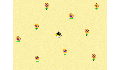 play Hungry Bee