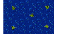 play frog