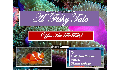 play Fishy Tale game